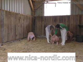 Weinig insight naar mijn pigplay, gratis weinig xxx hd x nominale film c9