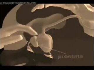 How to give a prostata massaž, mugt xxx massaž ulylar uçin movie vid