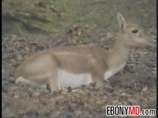 Dunkelhäutig phantasie frau bande schlug im die dschungel