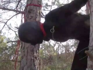 Tied up to a tree outdoor on desirable clothes&comma; wearing pantyhose and high ankle boots heels&comma; rough fuck