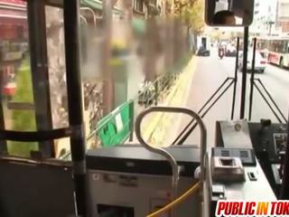 Saki are căţeluş loden în autobus excursie