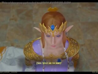 Princesa zelda izpolnjuje ji novo kralj